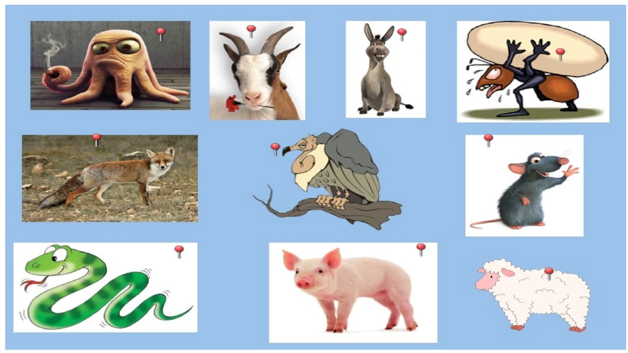 vocabulario de los animales en español