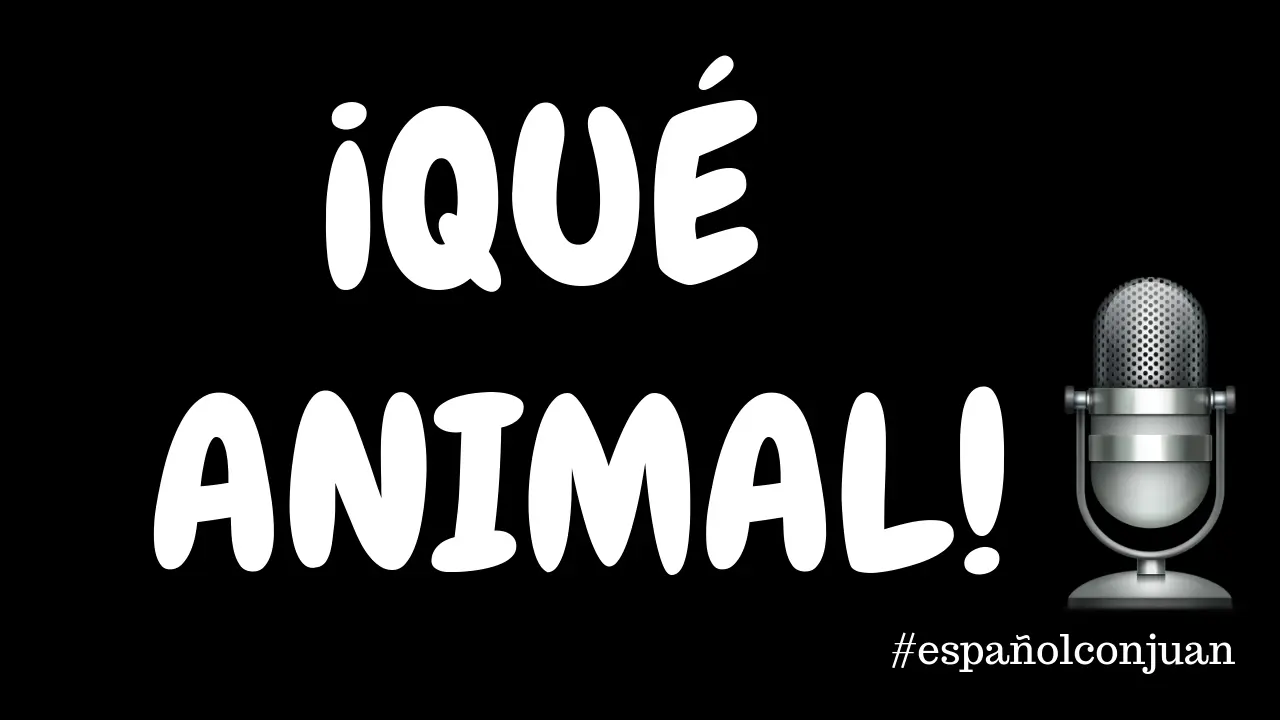 podcast para aprender español: maltrato a los animales